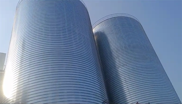 翁田镇2座混凝土高架卷板仓